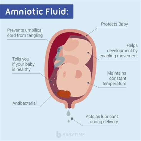 how do you know your leaking amniotic fluid|Water Breaking: What Are the Signs of Leaking。